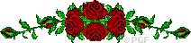 pgline.gif